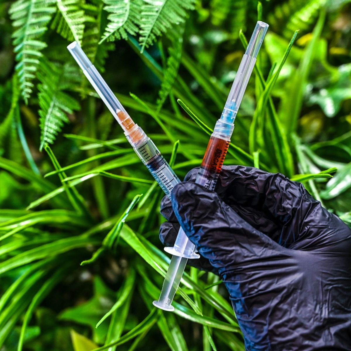 Two prepared vitamin injections held in a gloved hand